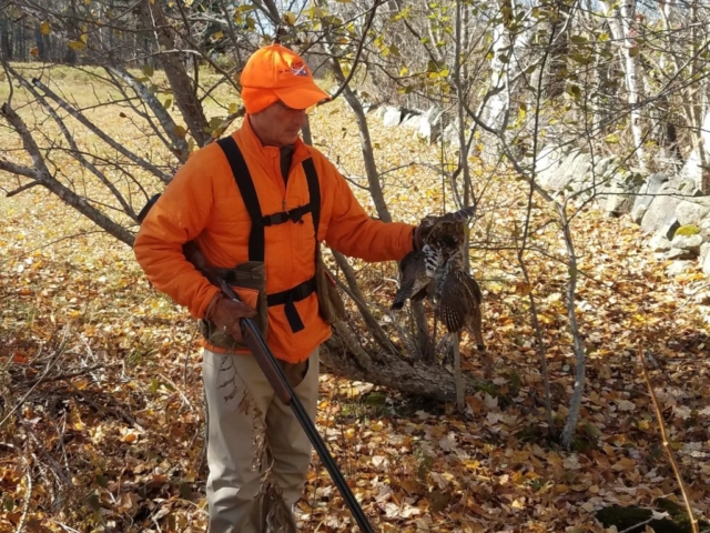Grouse hunting Maine