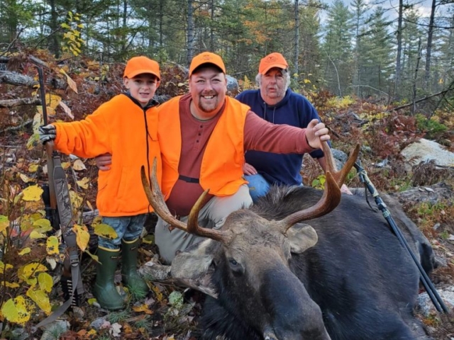 Moose hunting Maine