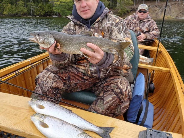 lake trout and landlocked salmon