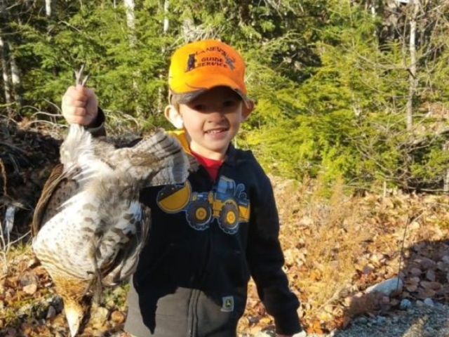 Grouse hunting Maine