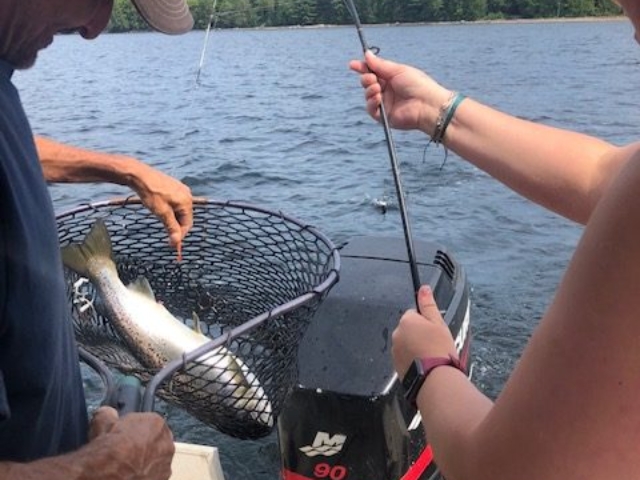 netting a fish