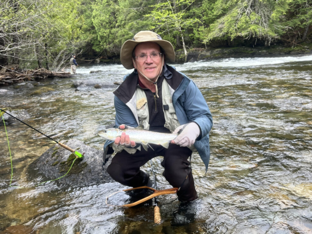 salmon fishing in a stream