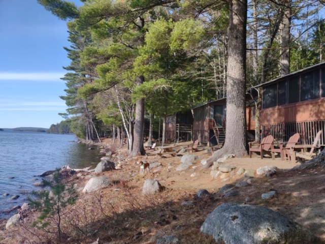 cabins on lake shore